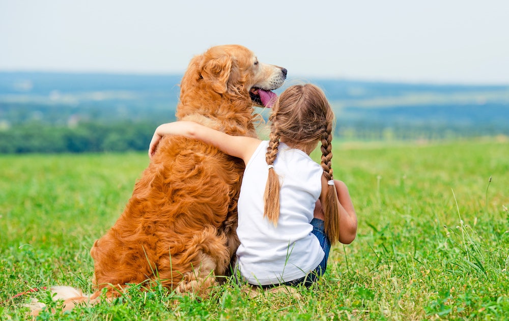 Die Autoren fanden heraus, dass Kinder, die durchgängig einen Hund besaßen, öfter körperlich aktiv waren als Kinder ohne Hund. (Foto: Ievgen Skrypko)