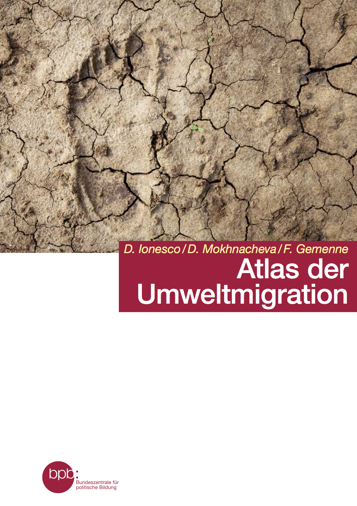 Titelbild des Buchs Umweltmigration