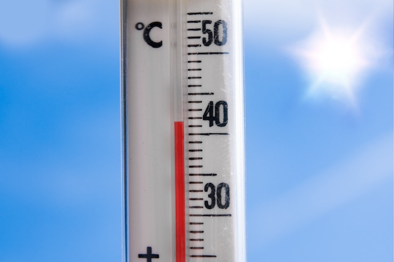 Auch für dieses Jahr wird ein – wenn auch später – Hitzesommer prognostiziert. (Foto: AdobeStock/StudioKomplex)